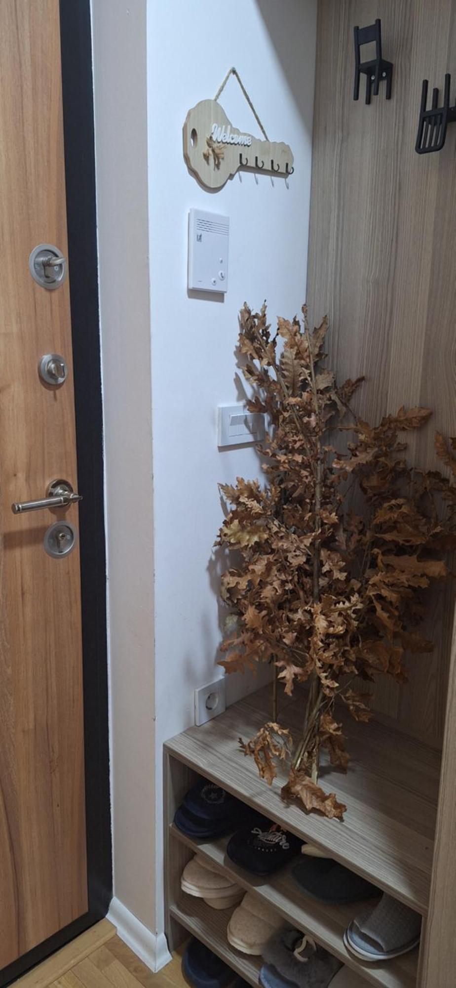 Silver Star Ζλάτιμπορ Εξωτερικό φωτογραφία
